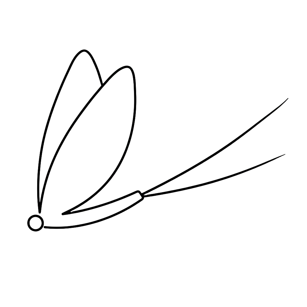 Mayfly Creative Co Logo